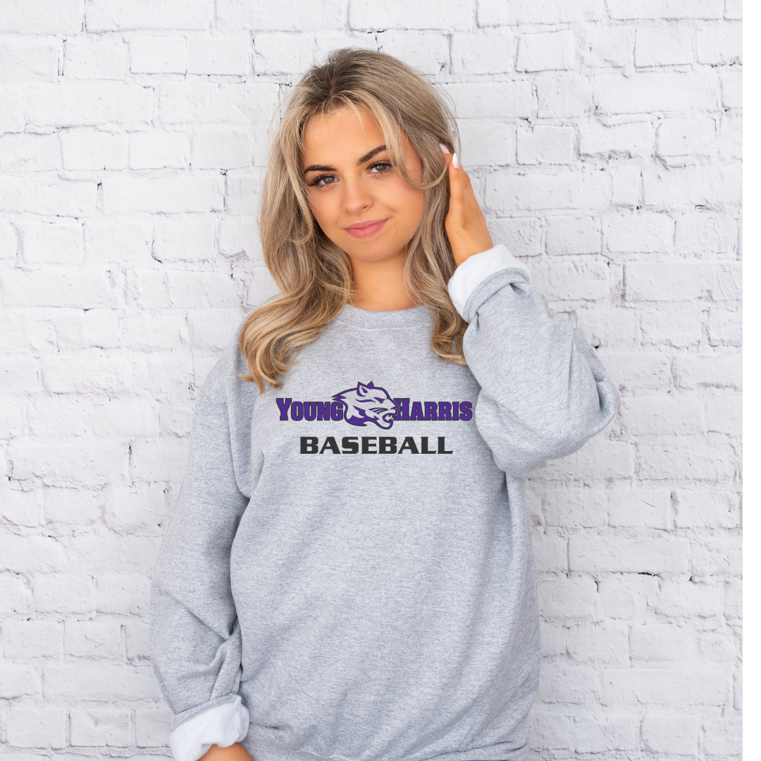 YH Grey Mountain Lion Baseball Top- Youth