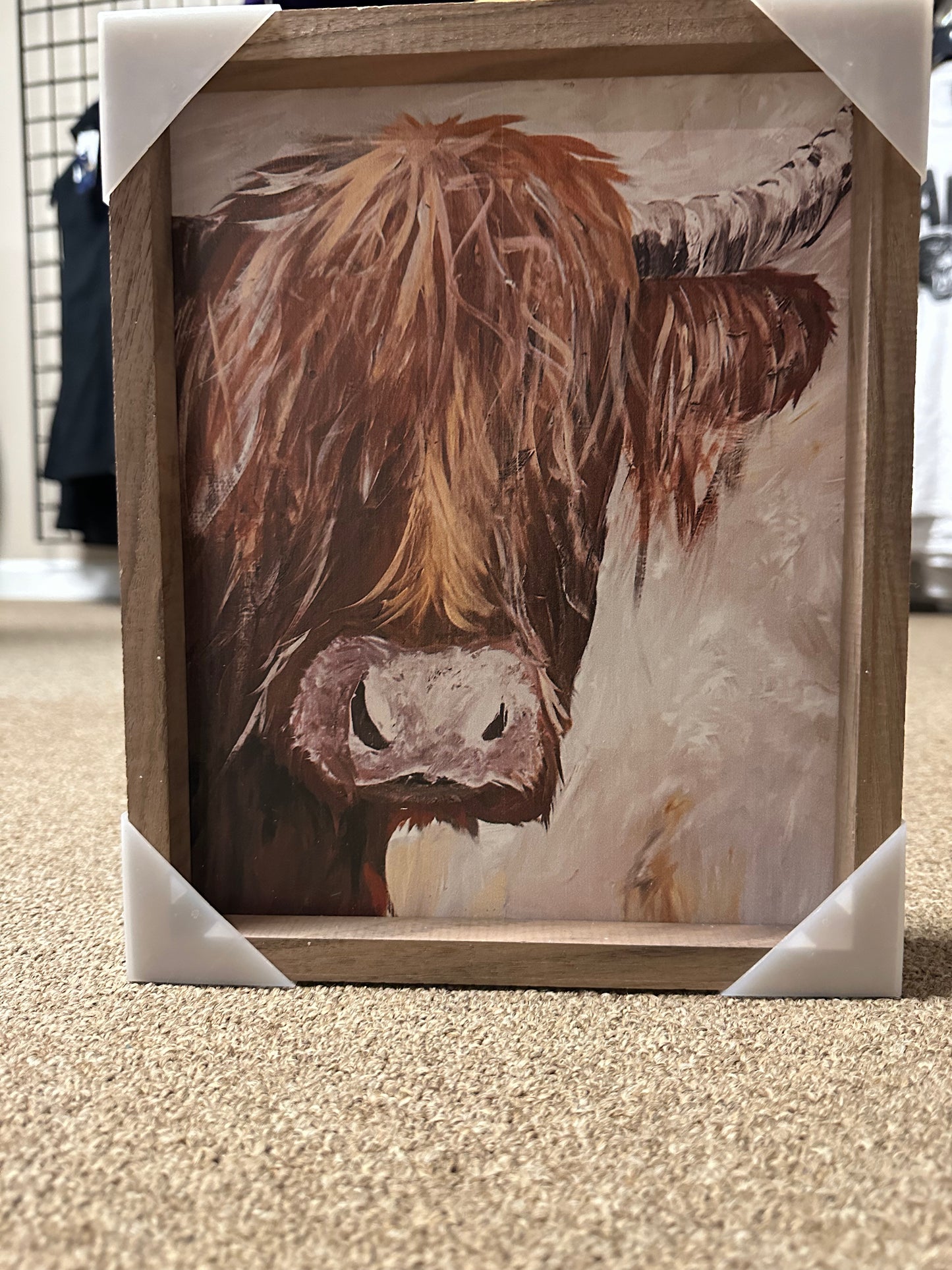 Highland Bull 8*10 Frame