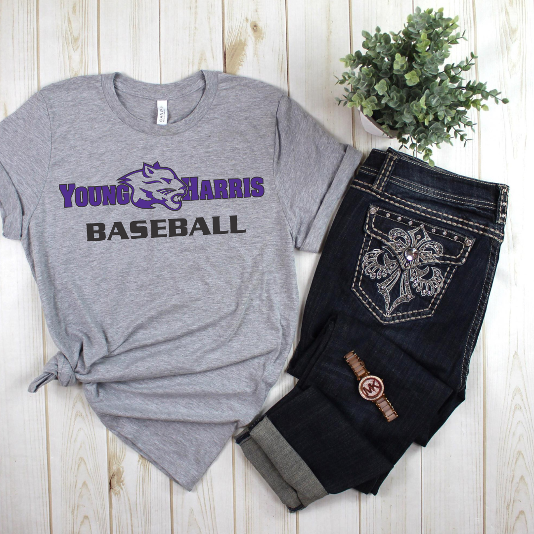 YH Grey Mountain Lion Baseball Top- Youth