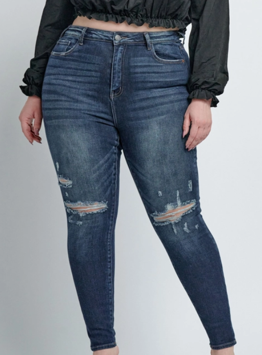 Cello Dark Wash Lightly Distressed Straight- Plus