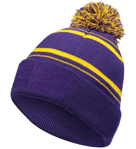 Purple/ Gold Beanie