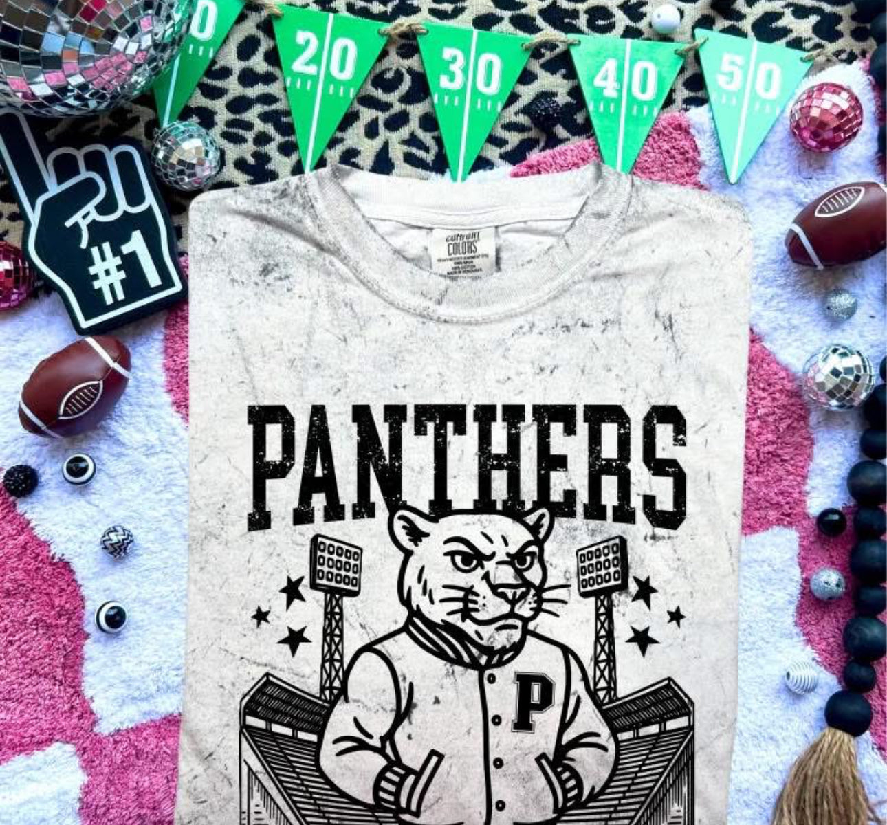 Panthers Letterman