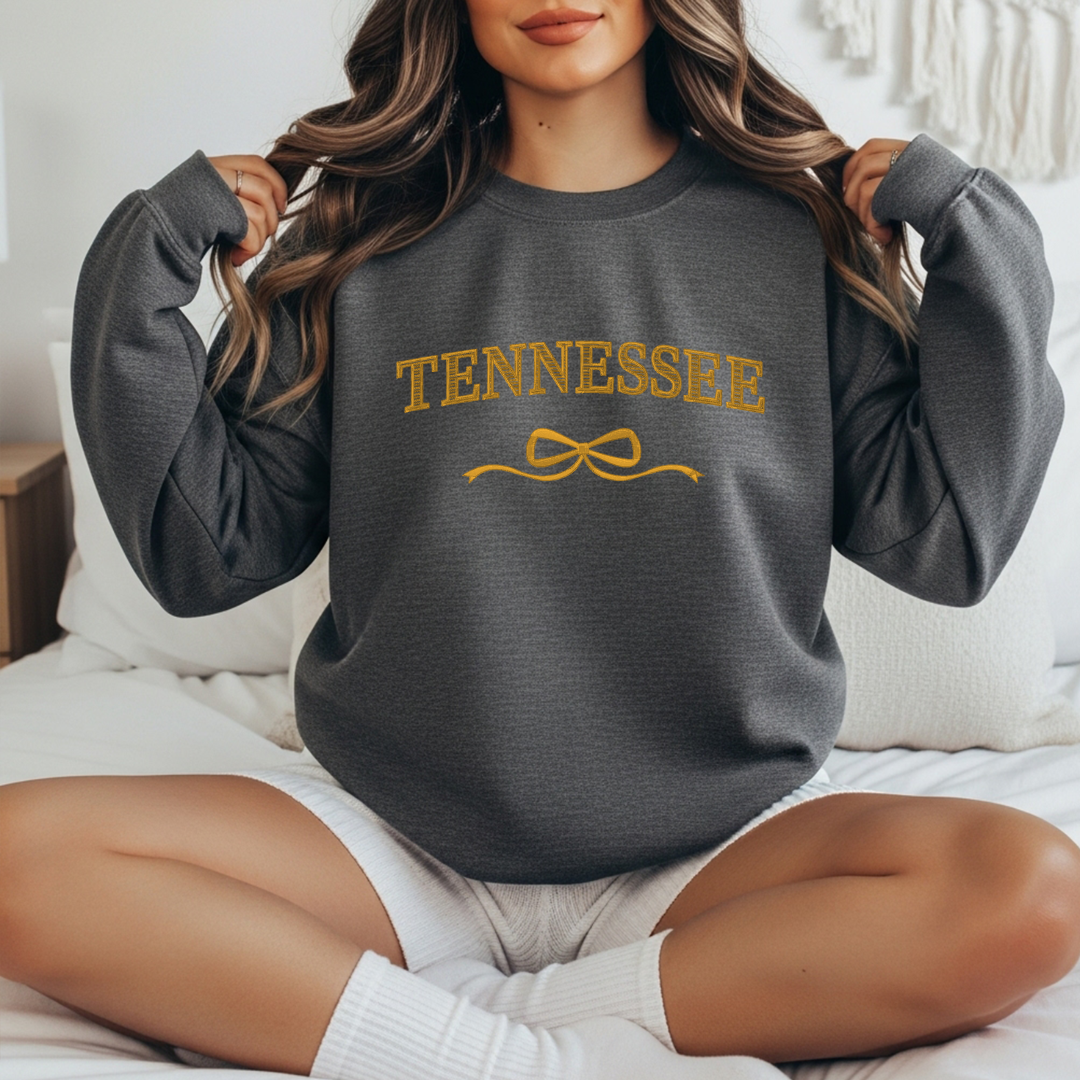 City/State Blocked Coquette Bow Crewneck