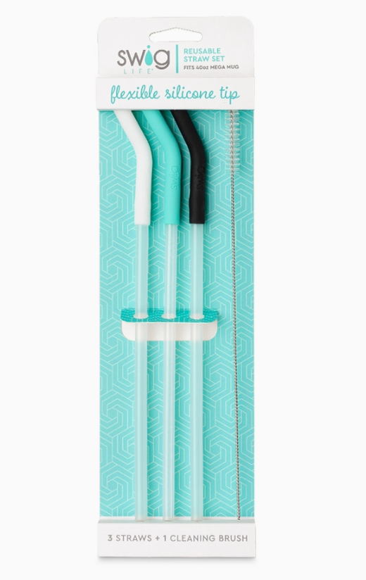 Aqua/Black Reusable Straw Set