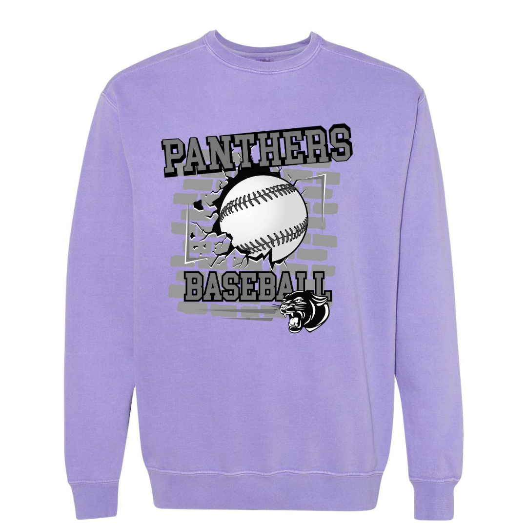 25 Panthers Baseball Wall- Youth