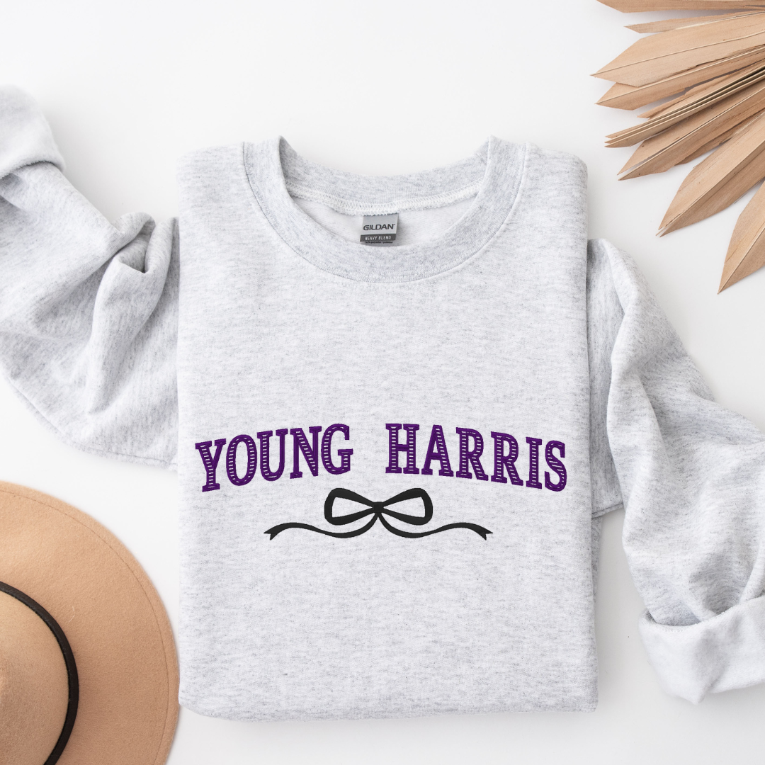 City/State Blocked Coquette Bow Crewneck